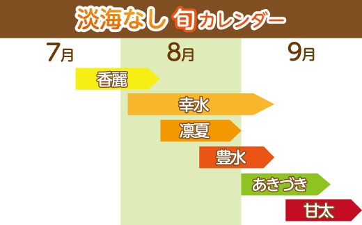 【先行予約】 数量限定 淡海なし 香麗 3kg 箱入り（サイズ：