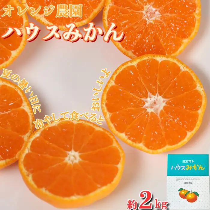 ハウスみかん 約2kg 専用箱 入り【オレンジ農園】 夏 果物 フルーツ ギフト 数量限定 期間限定 九州 大分県 ＜114-002＞