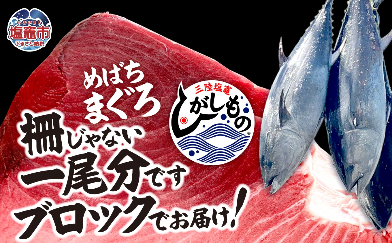 
                  〈冷蔵〉三陸塩竈ひがしもの 一尾分 ブロック 生メバチマグロ 天然 まぐろ マグロ 鮪 生マグロ 刺身 刺身用 寿司 海鮮丼 塩竈市魚市場 宮城県 塩竈市
                