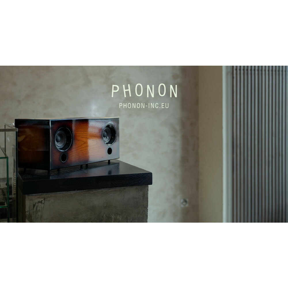 【ふるさと納税】MUSICLIFE ML-2 -sunburst- | 人気 おすすめ 送料無料