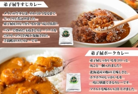 1446. 弟子屈 カレー 5種 食べ比べ 計5個 中辛 バターチキンカレー スープカレー ビーフカレー ポークカレー 牛すじカレー 業務用 レトルト 北海道 弟子屈町