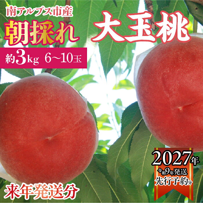 【ふるさと納税】＜2027年発送先行予約＞ 厳選！南アルプス市産　朝採れ大玉桃　約3kg（6～10玉） ふるさと納税 もも 桃 大玉 果物 フルーツ おすすめ 山梨県 南アルプス市 送料無料 ALPDD005