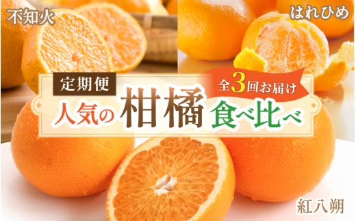 【柑橘堪能定期便】人気の3種を食べ比べ♪（はれひめ・紅はっさく・不知火） / 和歌山県 かつらぎ町 定期便 みかん 柑橘 果物 フルーツ 3回