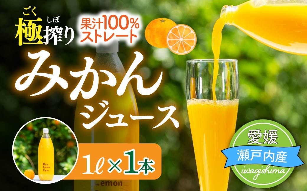
                  ブルーレモンファーム ごくしぼりみかんジュース 1L 1本 国産 みかん ジュース 柑橘 蜜柑 ミカン ジュース 飲料 ドリンク 温州みかん 添加物不使用
                