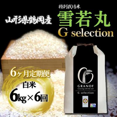 ふるさと納税 鶴岡市 【毎月定期便】山形県産 雪若丸 Gセレクション 白米 6kg全6回