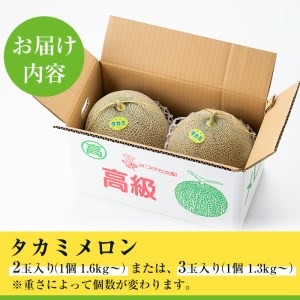 ＜期間限定！2025年5月中旬以降発送予定＞タカミメロン(2～3個入) 【曽於市観光協会】A153-v01