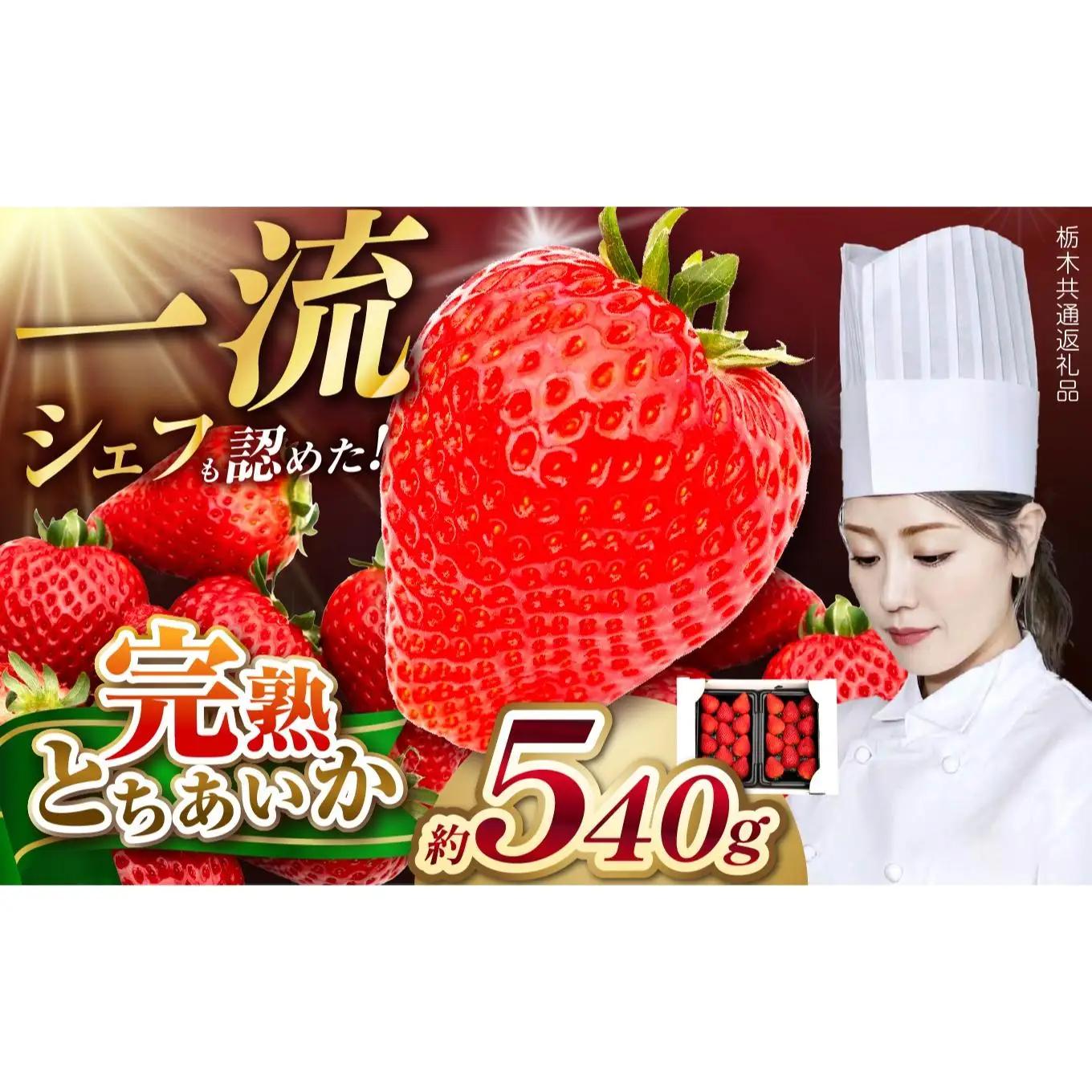 栃木県産 完熟とちあいか 540g（270g×2p）　栃木県 矢板市
