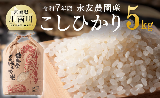 
            【令和7年産】永友農園産「こしひかり」5kg 【 米 お米 白米 精米 国産 宮崎県産 コシヒカリ 】
          