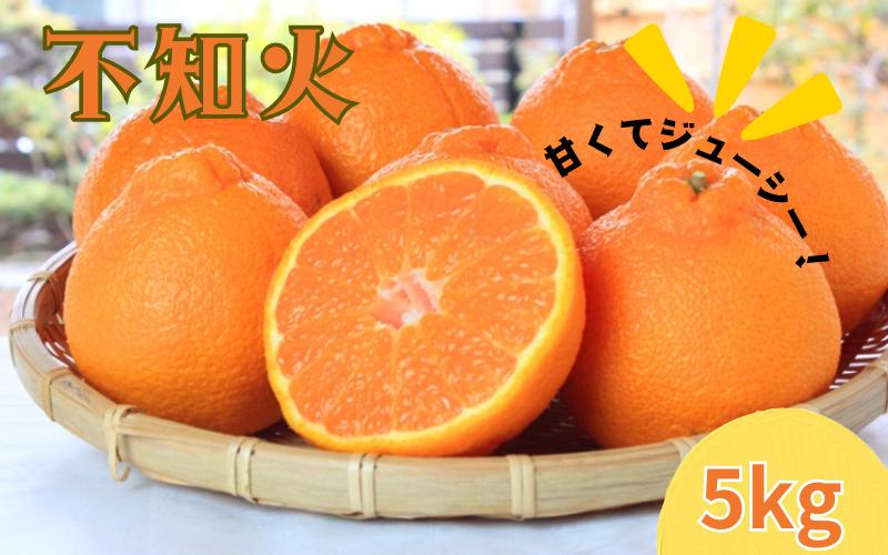 
             紀州有田産不知火(しらぬひ) 約5kg　※2026年2月中旬頃〜2026年3月中旬頃に順次発送予定(お届け日指定不可)/ みかん 蜜柑 フルーツ 果物 くだもの しらぬい【uot709A】
          