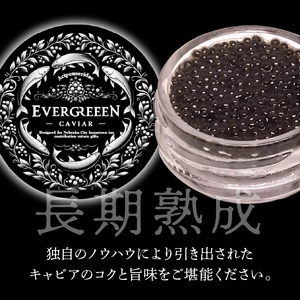 宮崎県産キャビア　EVERGREEEN　CAVIAR　エバーグリーンキャビア　12g  N0183-C221