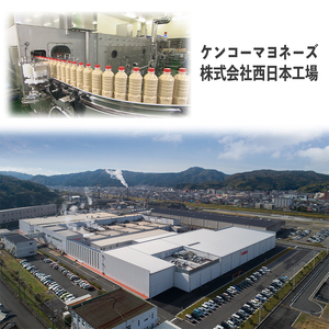 サラダのプロがつくった サラダ 2種類 セット 20袋 個包装 ポテトサラダ マカロニサラダ 