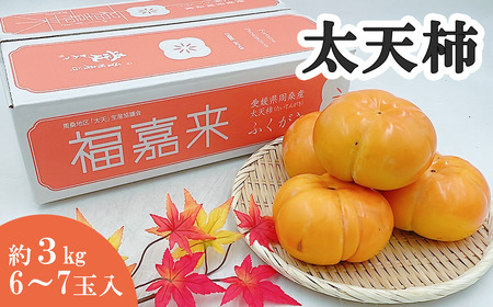 【先行予約】 太天柿 （JA東予園芸） 6～7玉　約3㎏　2025年11月下旬～12月中旬発送　柿 フルーツ 渋抜き 大玉 愛媛県 西条市