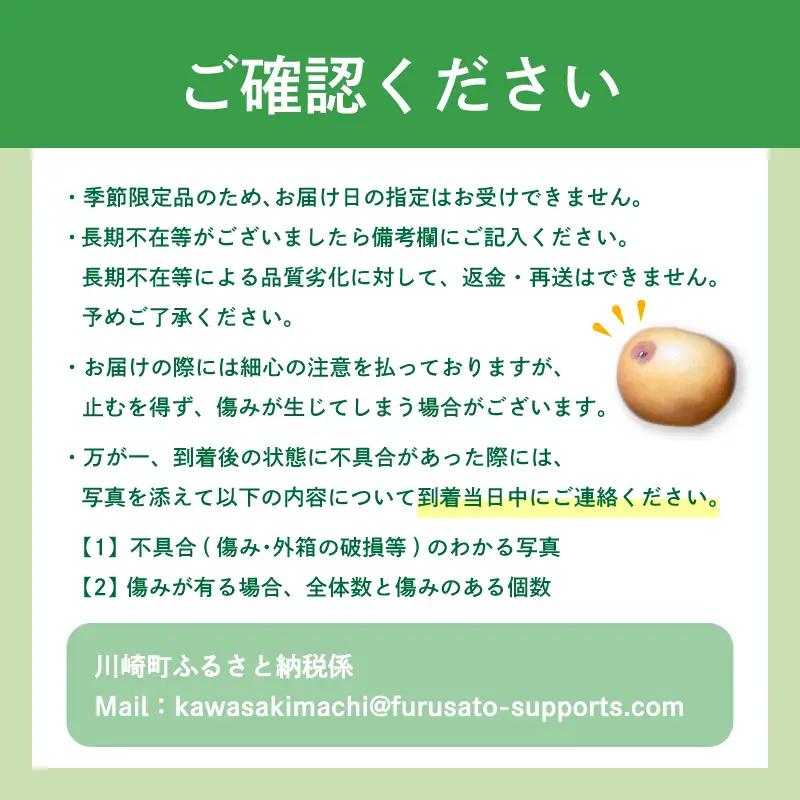 梨 5kg 豊水【2026年8月中旬頃から発送】 梨 IDG