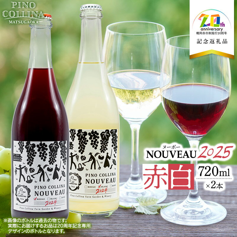 【ふるさと納税】【令和7年発送 先行予約】鶴岡産ワイン　2025年ヌーボーROUGE（赤）・BLANC（白）　720ml×2本　【市制施行20周年記念返礼品】　エルサンワイナリー
