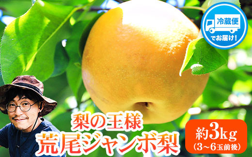
                  【2026年 先行予約】梨 新高 ジャンボ梨 ( 新高梨 )  約 3kg (3～6玉前後) なし 荒尾梨 にいたか フルーツ 果物 デザート 旬 熊本県荒尾市産 髙口果樹園《2026年10月上旬-11月末頃出荷》 
                