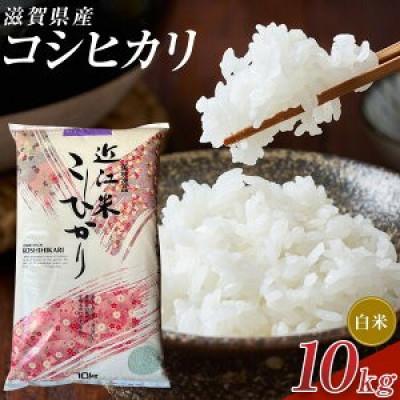ふるさと納税 甲賀市 【令和7年産】近江米コシヒカリ白米10kg