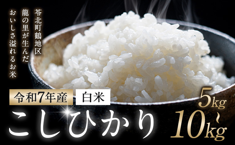 
            令和7年産 米 コシヒカリ 白米 5kg 10kg 鶴地区龍の里ふるさと会《8月中旬-8月末頃出荷》生産者直送 新米 早期米 天草 苓北 鶴 地区 龍 の里 蛍 国産 九州 熊本 名水 百選 5キロ 送料無料
          