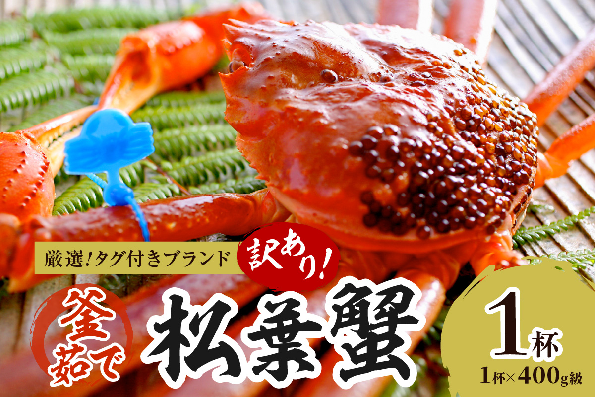 【訳あり！！タグ付きブランド】茹で松葉かに 鮮度抜群、釜茹でにてお届け！！ 400g級（足1本落ち）×1杯 ふるさと納税 かに 京都 京丹後 海鮮 まつば蟹 まつばがに 松葉ガニ 海祥　YK00597