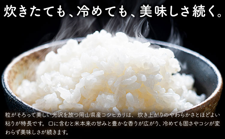 岡山県産 こしひかり 10kg(5kg×2袋) 無洗米 全農パールライス株式会社《30日以内に出荷予定(土日祝除く)》 岡山県 浅口市 送料無料 こめ 無洗米 コシヒカリ---124_3381_30d