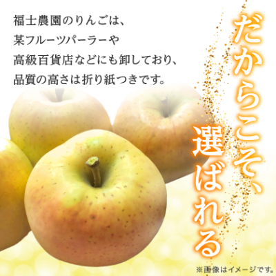【希少品種】「きみと」約3kg・糖度14度以上保証・訳あり家庭用りんご【配送不可地域：離島】