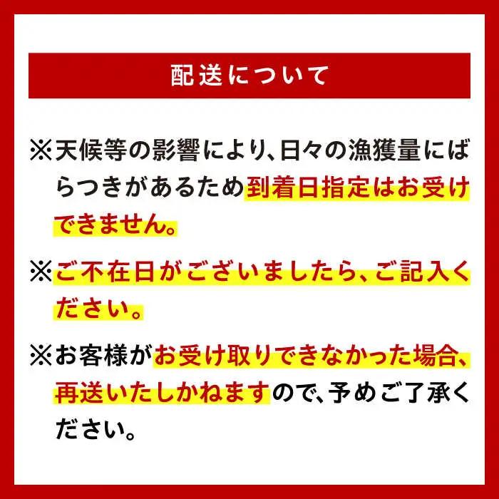 朝どれ 鮮魚 詰め合わせ 3種（2-3人前） 下処理 あり / アジ アラカブ タイ カワハギ など  魚 新鮮 セット 冷蔵 産地直送 下処理済み / 南島原市 / 美吉屋 [SDW003]