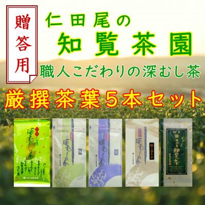 ふるさと納税 南九州市 【贈答用】知覧茶園の深むし茶「 厳撰茶葉5種セット」(150g×1本/各70g×4本)