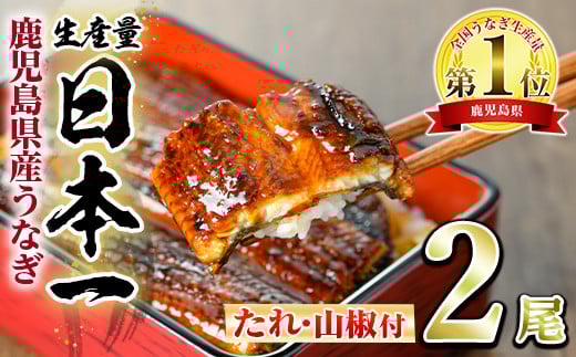 東串良町のうなぎ蒲焼(無頭) 2尾(320g以上・タレ、山椒付)