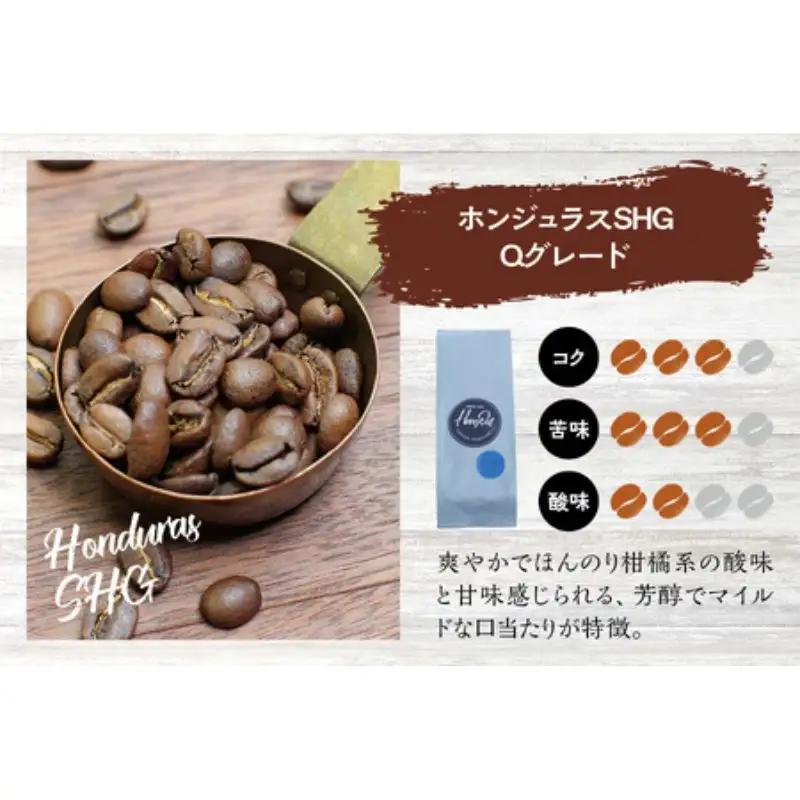 【挽き立て】（ホンジュラス）ドリップバッグコーヒー10袋セット コーヒー豆 焙煎 コーヒー セット ドリップコーヒー【hgo004-06】