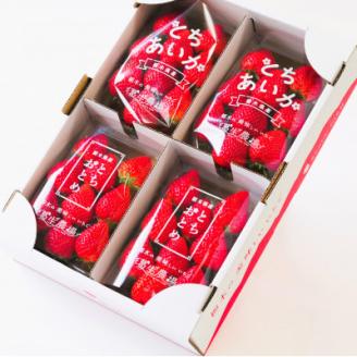 新鮮! 『とちおとめ』・『とちあいか』 (260g×4パック)　食べ比べセット【配送不可地域：離島・沖縄県】