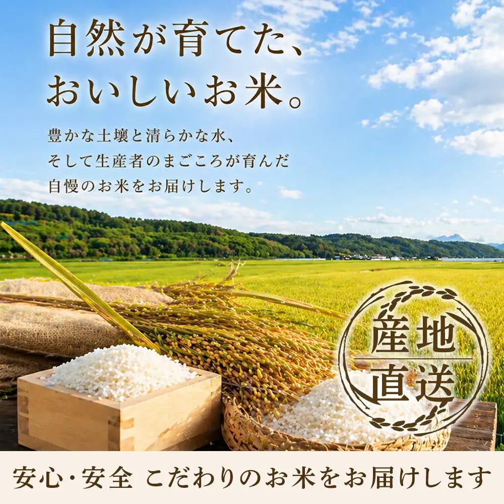 【先行予約】令和8年旭川産ゆめぴりか5kg(10月下旬発送開始) | ゆめぴりか _05725