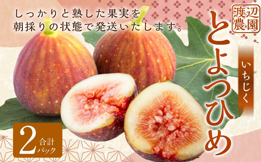 
            【先行予約】渡辺農園 いちじく (とよみつひめ) 2パック 【2025年7月下旬～2025年9月下旬 出荷予定】 フルーツ 果物 果実 常温 送料無料 福岡県 うきは市
          