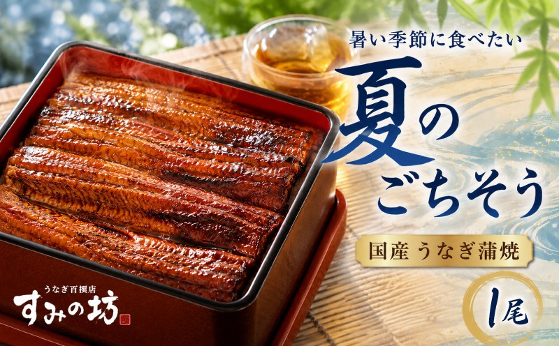 
                  【夏季限定】 夏のごちそう 国産うなぎの蒲焼き 1尾 うなぎ《1尾につき160g～180g》 特上サイズ 手焼き 炭火 個包装 真空パック 冷凍 鰻 特上 鰻の蒲焼き 大きい ウナギ 土用丑の日 うな重 うな丼 惣菜 鰻重 プレゼント 贈り物 ギフト 期間限定 すみの坊 三島うなぎ 三嶋うなぎ 静岡県 三島市
                