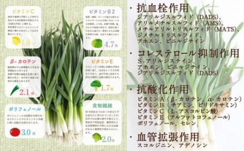 【極上品】鰹タタキ大賞 W 受賞セット(龍馬タタキ&かつおに合うぬた)
