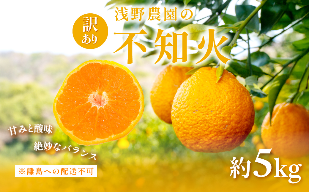 【先行予約】【訳あり】浅野農園の不知火 計5kg ※離島への配送不可（2026年2月上旬頃より順次発送予定） IKTAC033