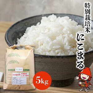 特別栽培米 にこまる 5kg | お米 精米 白米 単一米 ご飯 国産米 5キロ 大分県産 九州産 大分県 中津市