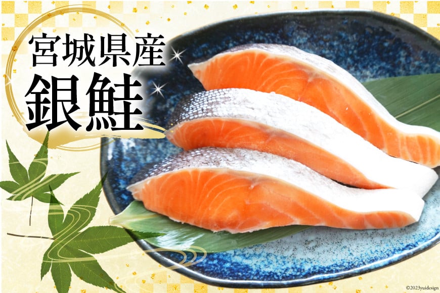 訳あり 宮城県産 熟成 銀鮭 切身 約2kg [宮城東洋 宮城県 気仙沼市 20563343] 鮭 海鮮 魚介類 国産 さけ 鮭 甘口 サケ 鮭切身 シャケ 切り身 冷凍 おかず 弁当 支援 事業者支援 サーモン 魚 銀鮭切り身