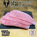 【ふるさと納税】《常陸牛》 A5ランク 厳選 サーロイン （ステーキ用）250g×3枚 （茨城県共通返礼品） 国産牛 和牛 牛肉 肉 A5 ブランド牛 厳選 サーロイン ステーキ