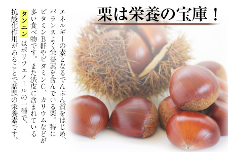 生栗 先行予約  約2kg(2L-Lサイズ) ｜栗くり栗栗くり栗栗くり栗