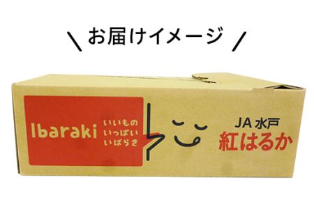009-1茨城町産紅はるか10kg（さつまいも）【2025年11月中旬頃より発送予定】