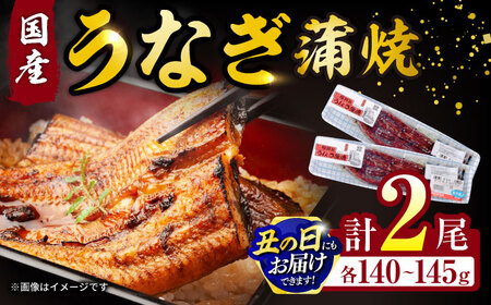 福田屋食品うなぎ蒲焼2尾(真空パック) / 鰻 うなぎ ウナギ 国産 蒲焼 かばやき うな重 うな丼 ひつまぶし / 諫早市 / 諫早観光物産　コンベンション協会 [AHAB035] 丑の日 土用丑の日