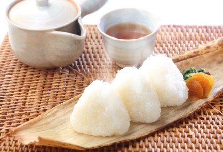 【令和7年産新米】「米屋のこだわり阿賀野市産」コシヒカリ どーんと 20kg ！ (5kg×4袋) 9月中旬より順次発送 1E03068