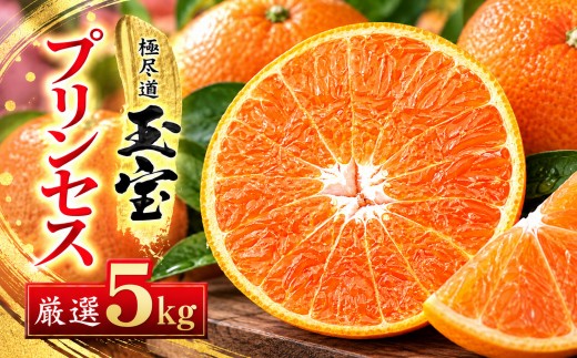 ≪新品種!!≫＜甘平×まどんな＞愛果48号(紅プリンセスと同品種)5kg＜H64-78＞【1621823】 YWTY067