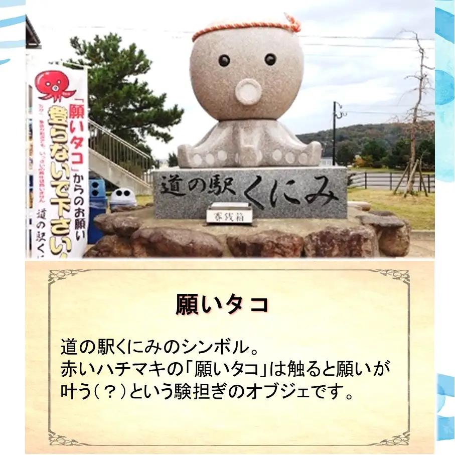 道の駅くにみの願いタコカレー2袋 レトルト 時短 簡単調理 海鮮 真蛸_2802R-1