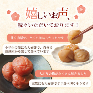 【梅干し】 はちみつ梅干し 紀州南高梅1kg 【mae001-2】 