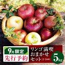 【ふるさと納税】【2025年9月限定先行予約】 ヤマモ農園 訳あり リンゴ満喫おまかせセット 約5kg | 果物 フルーツ 果実 りんご 林檎 リンゴ セット 訳あり 先行予約 長野県 松川村 信州