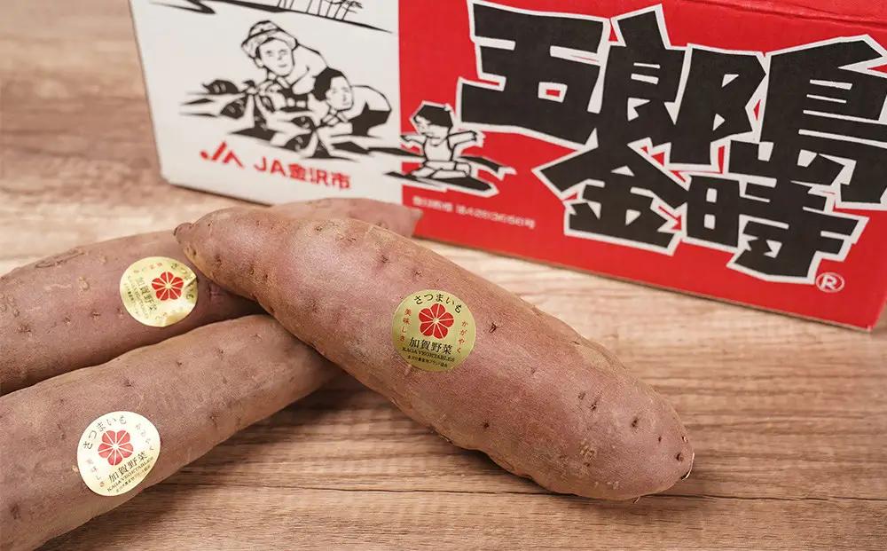 【先行予約】JA金沢市 五郎島金時 秀品5kg｜加賀の伝統野菜・人気のさつまいも ほくほく甘い