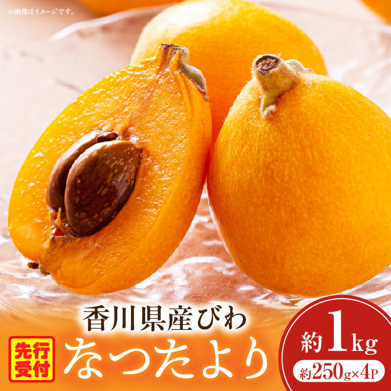 【ふるさと納税】初夏を感じる果物 香川県産びわ 約1.0kg びわ 枇杷 なつたより 果物 フルーツ 人気 香川 香川県 三木町 初夏 ハウス栽培 厳選 袋掛け 完熟 ジューシー 糖度が高い 先行受付 先行予約 季節限定 旬 おすすめ