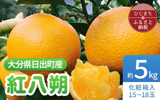 
                  紅八朔　約5kg(化粧箱入り)【1106338】
                