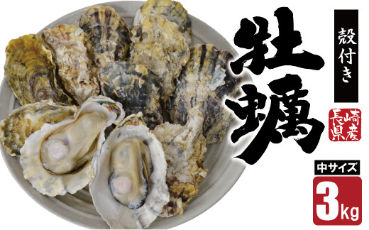 
            【期間限定発送】【数量限定！】雲仙産 牡蠣 中サイズ 3kg 加熱用・殻付き [ふるさと企画 長崎県 雲仙市 item2006] カキ かき 殻付 3キロ 冷蔵 カンカン焼き 季節限定
          