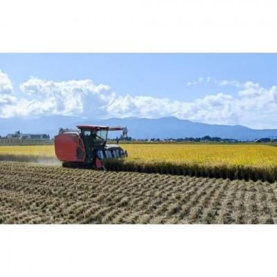 ふるさと納税 上越市 【発送月固定定期便】1月下旬より順次出荷 新潟県上越市産 新之助 白米 5kg全3回 |  | 02